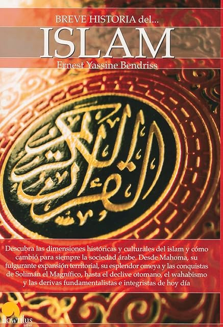 Portada de Breve historia del islam