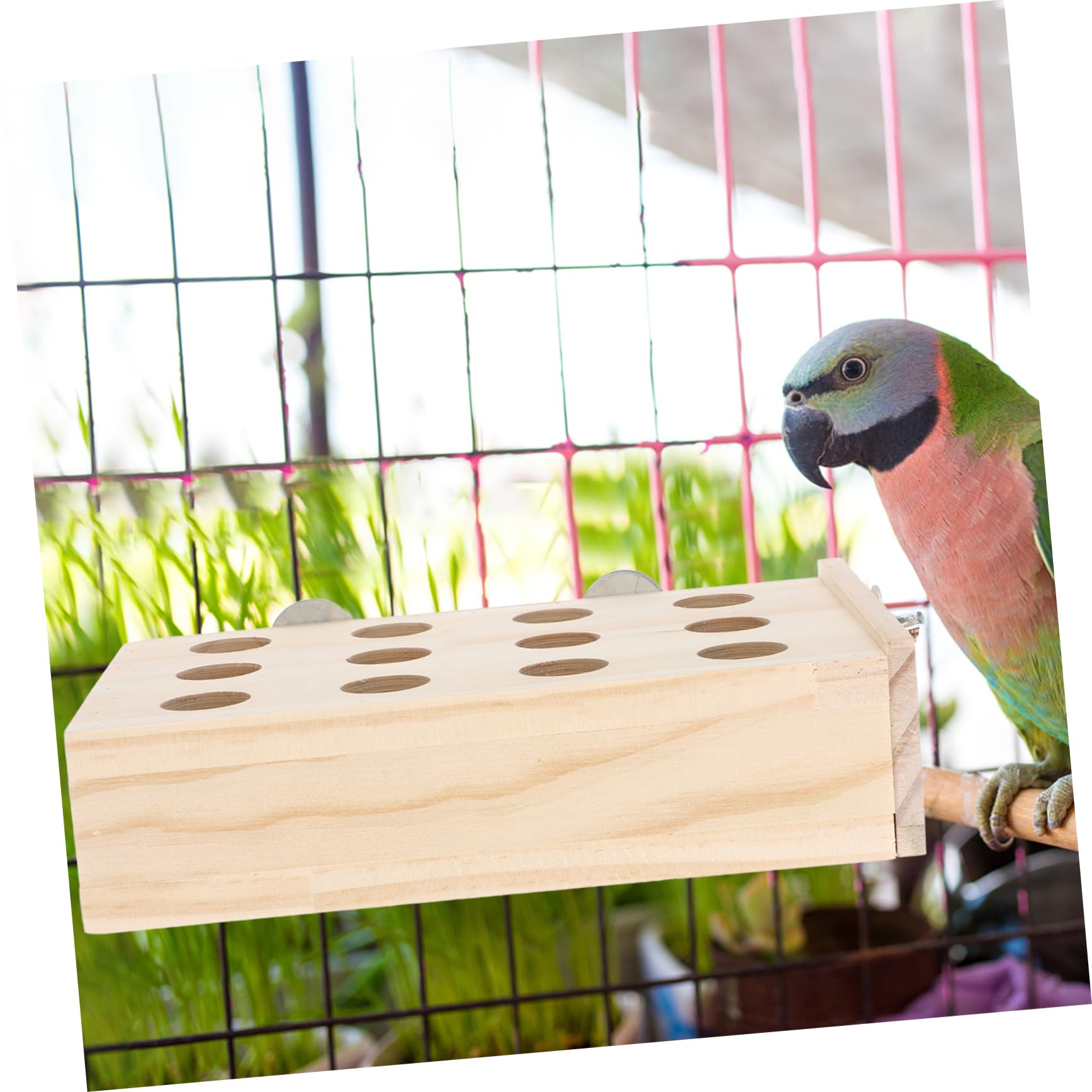 BESPORTBLE 4piezas Juguete para Loros Masticable Juguete De Forrajeo para Aves Entretenimiento y Ejercicio para Aves