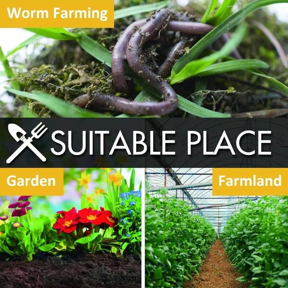 Thermomètre de sol, testeur de sol de compost, sonde en acier inoxydable, moniteur de température pour compost de jardin