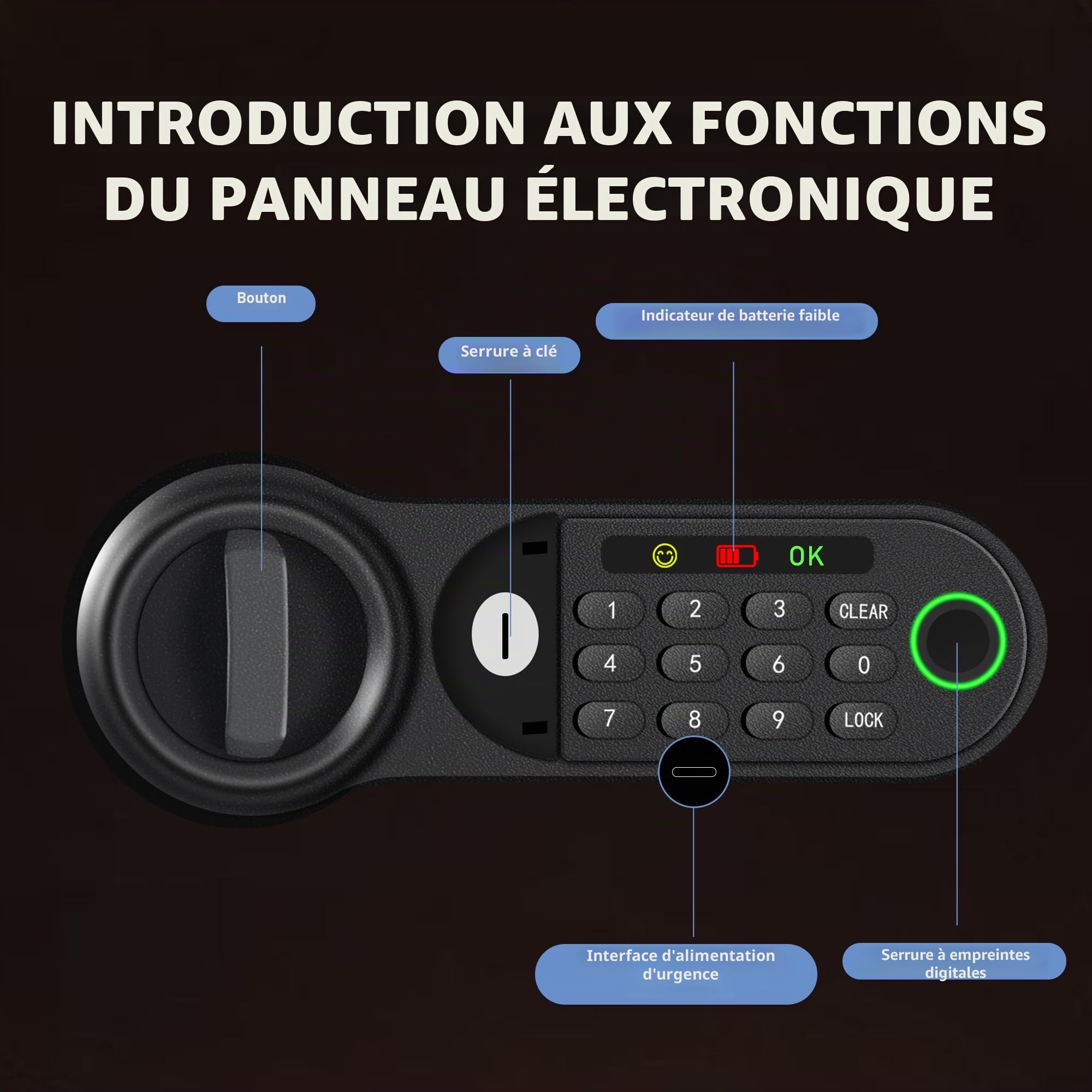 HSGCJS Grand coffre-fort pour empreintes digitales – 0,5 m³, boîte biométrique à empreintes digitales avec clavier numérique, coffre-fort de sécurité avec lumière à induction et cuir, tirelire pour