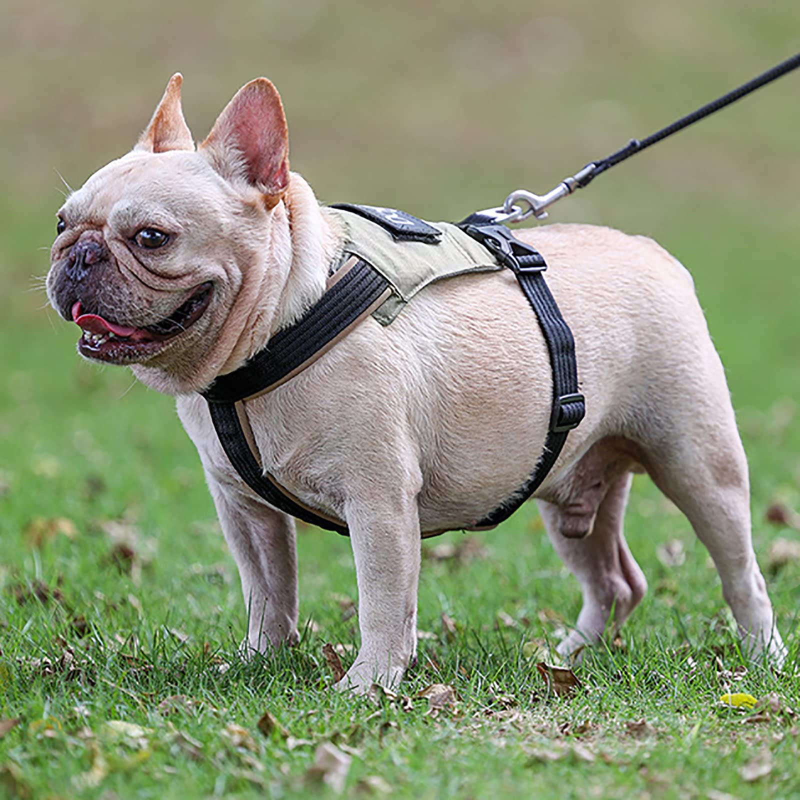 Pettorina per Cani Pettorina per Animali Domestici Gilet Regolabile per Cani Gilet Oxford Riflettente per Animali Domestici All'aperto con Maniglia di Controllo Facile
