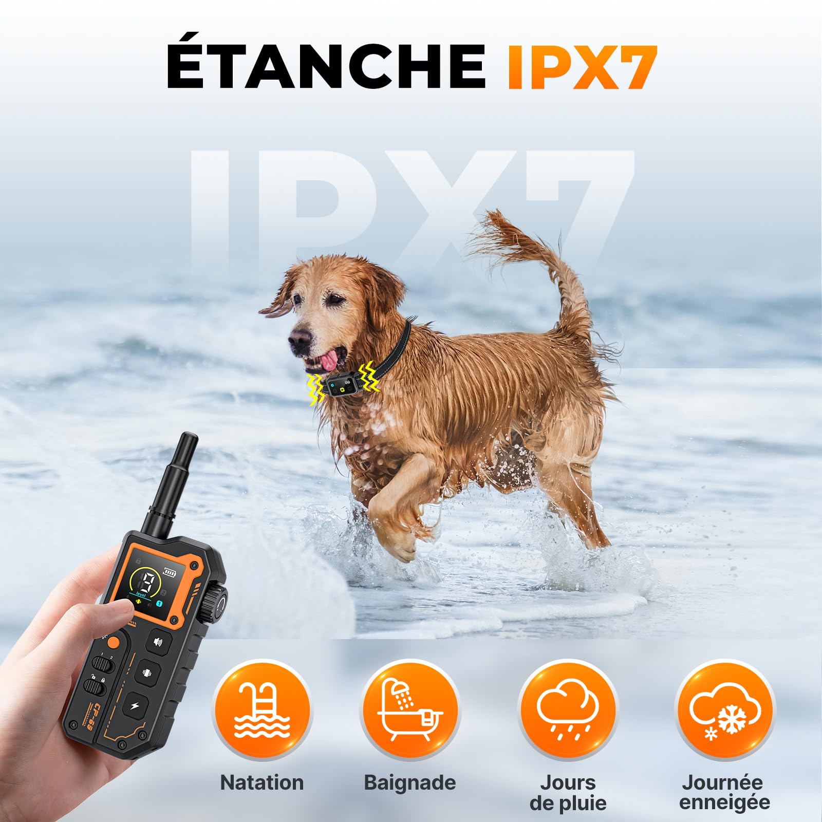 Collier de Dressage pour Chien, Portée 3000 Mètres, Collier Électrique pour Chien avec Télécommande, 4 Modes Lumières/Son/Vibration/Choc, Résistant à l'eau IP67, Adapté Aux Chiens de Petits et Grands