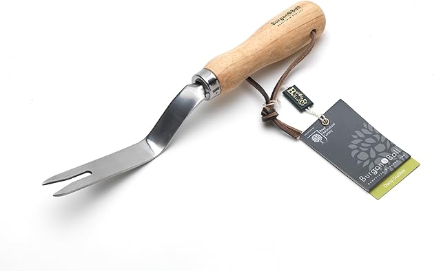 Burgon & Ball GTH/SDGRHS RHS Stainless Daisy Grubber