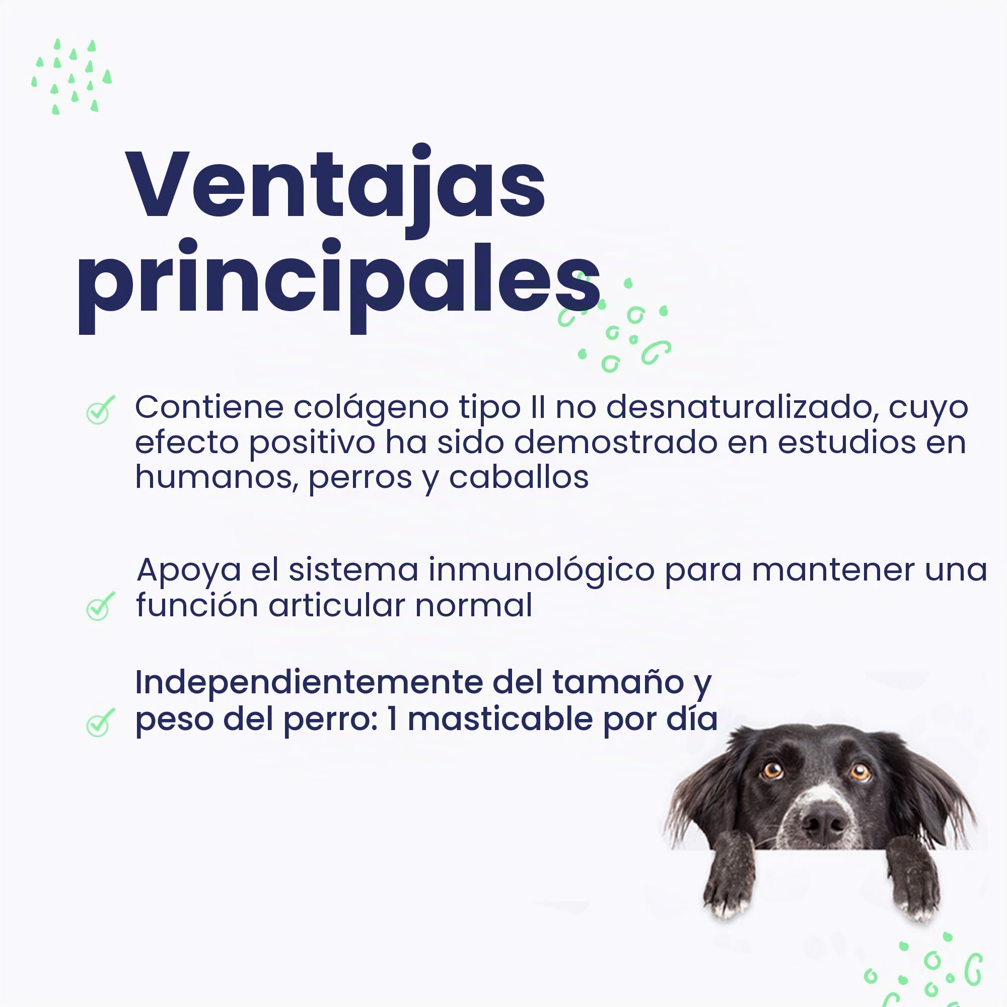 Flexadin Advanced Antioxidante para perros, 60 dosis