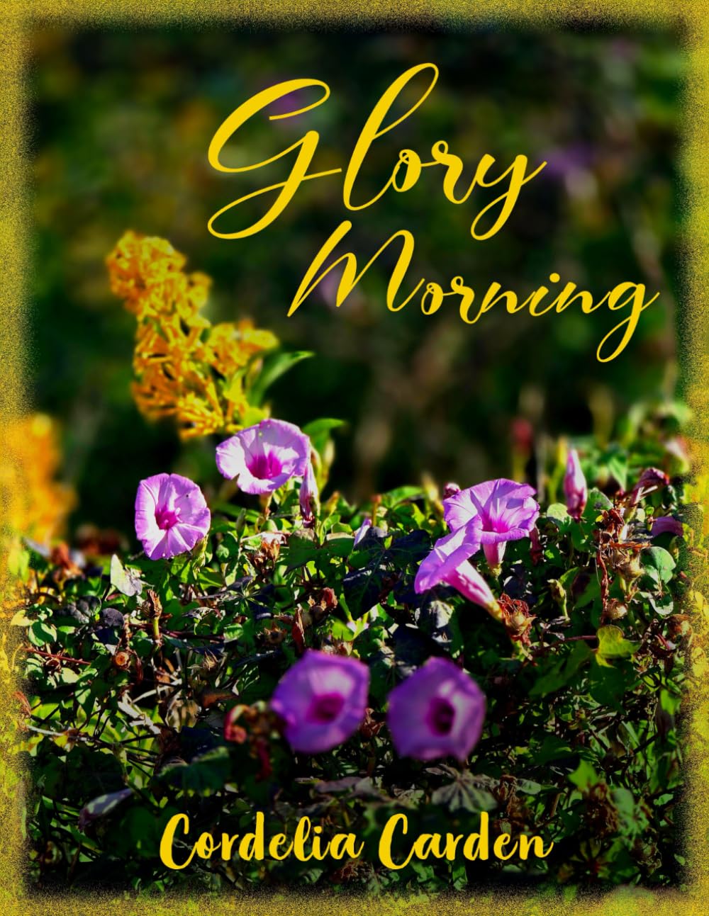 Glory Morning