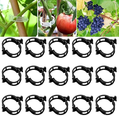 Miniatura 9 de Clip de fijación de plantas, 100150300 piezas de clips para plantas trepadoras, clips transparentes para plantas, clips de soporte para plantas,