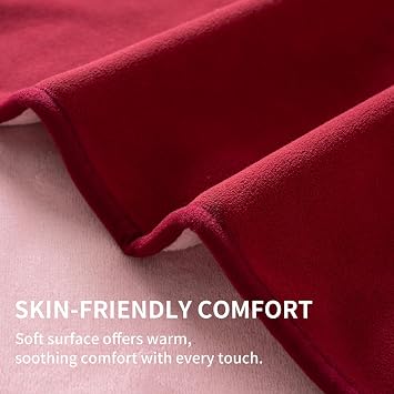 QiyI Reversible Waterproof Blanket for Bed Queen Size, 60x80, Burgundy/Pink | Leakproof Flannel Throw Blanket, Washable Stain Resistant Bed Cover, Pet-Friendly Furniture Protector, For Travel Camping