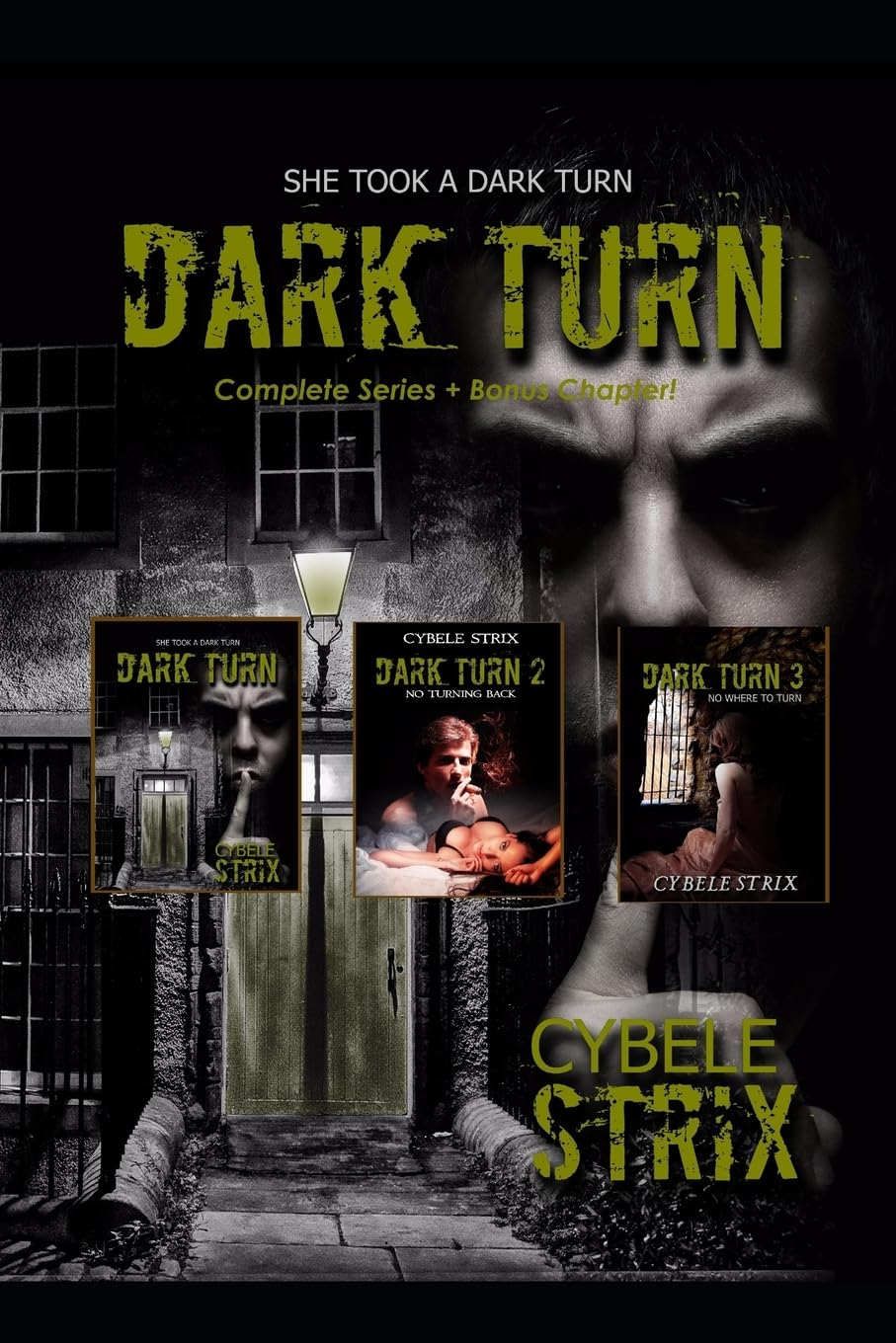 Dark Turn She took a dark turn 9781549672316 Strix