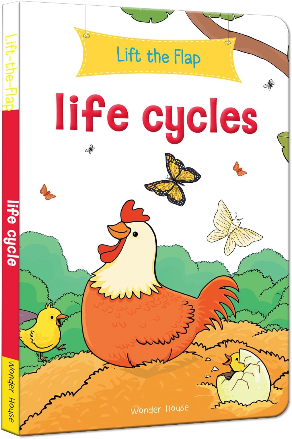 Lift the Flap: Life cycles