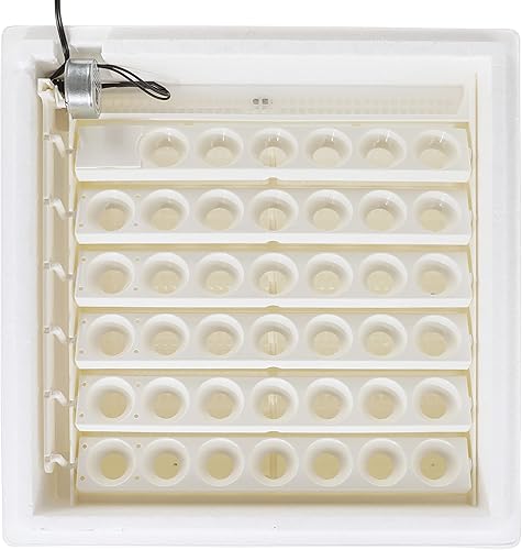 Miniatura 14 de Farm Innovators - Incubadora digital con aire circulado con girador automático de huevos, versión mejorada - Mejora 1