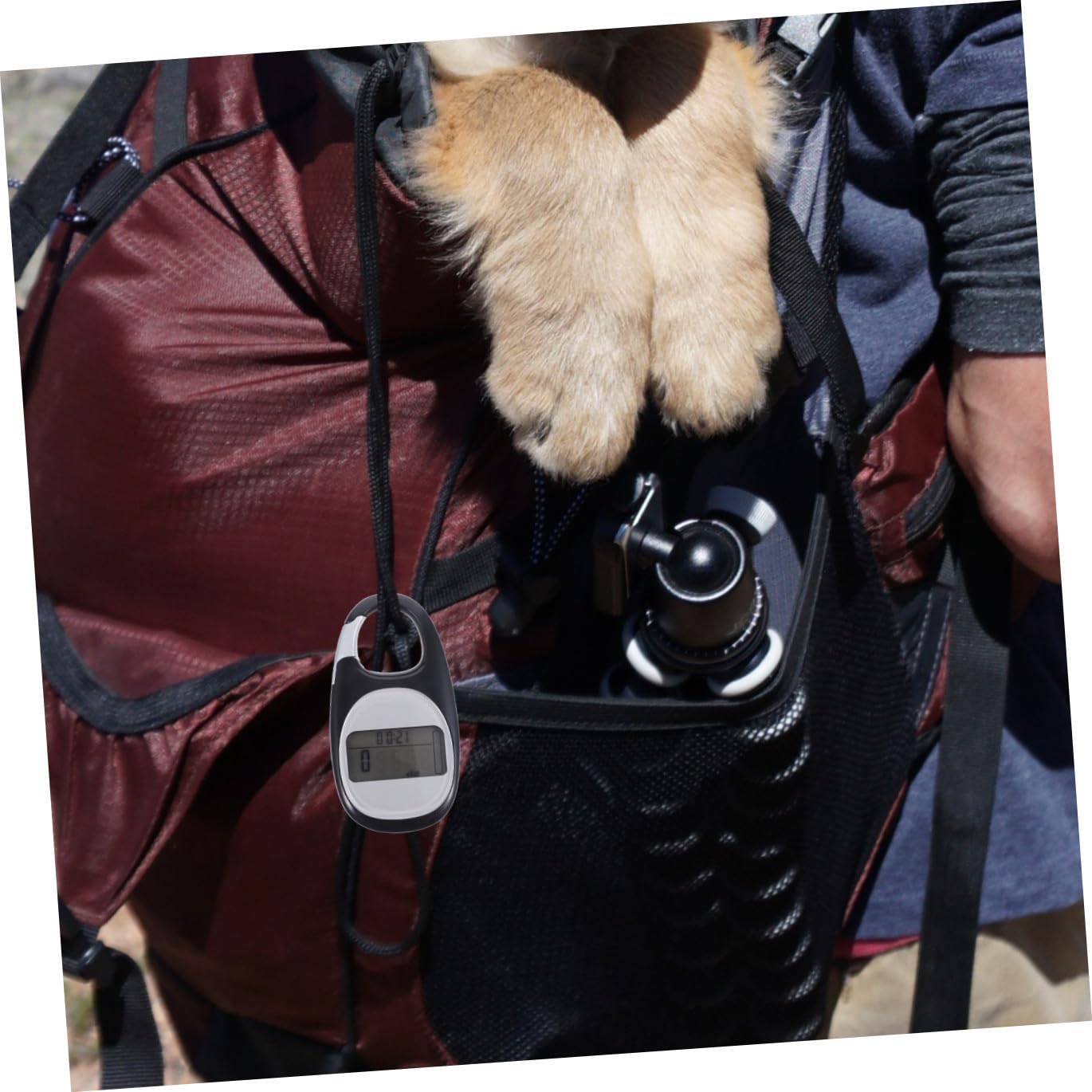 Podomètre Portable Multifonctionnel pour Outdoor Compteur de Compteur de Calories pour Randonnée Sport Couleur Aléatoire