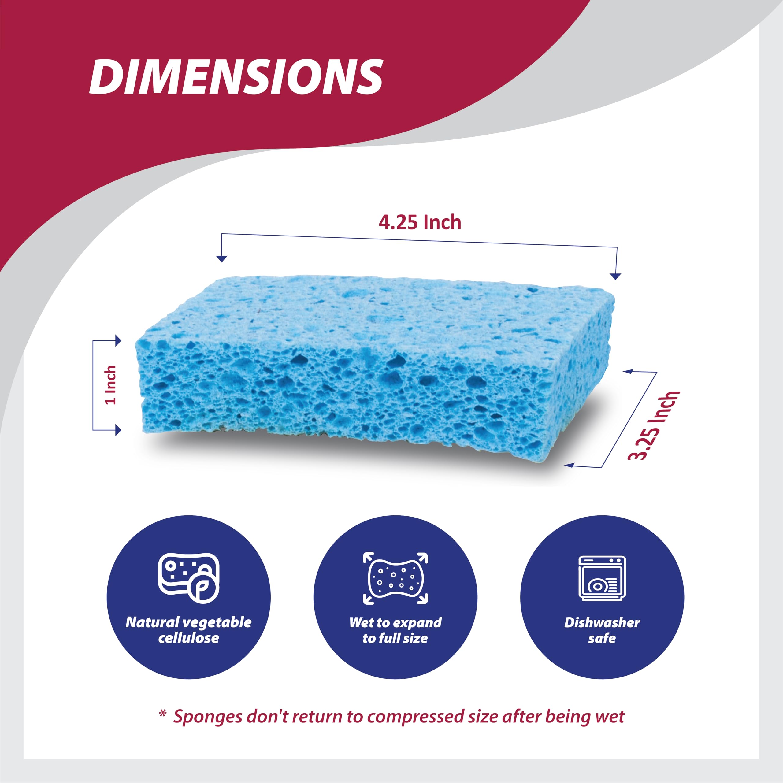 sponge.ページ 514Ci7rhp8L.jpg_BO30,255,255,