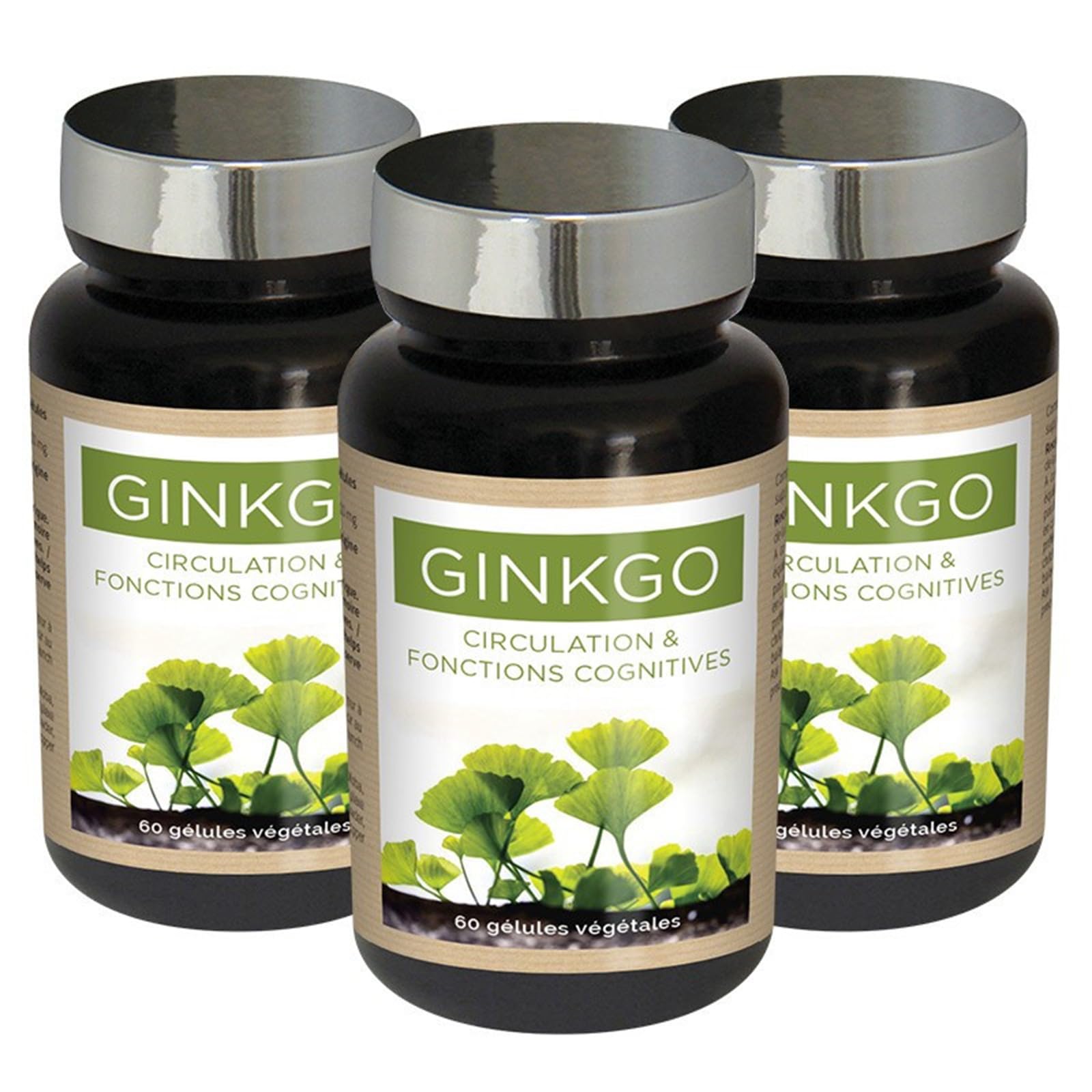 NUTRI EXPERT - Ginkgo Biloba - Préservation mémoire et fonctions cognitives - Soutient la circulation périphérique - Complément Alimentaire Végan - Marque Française - 60 gélules - Lot de 3