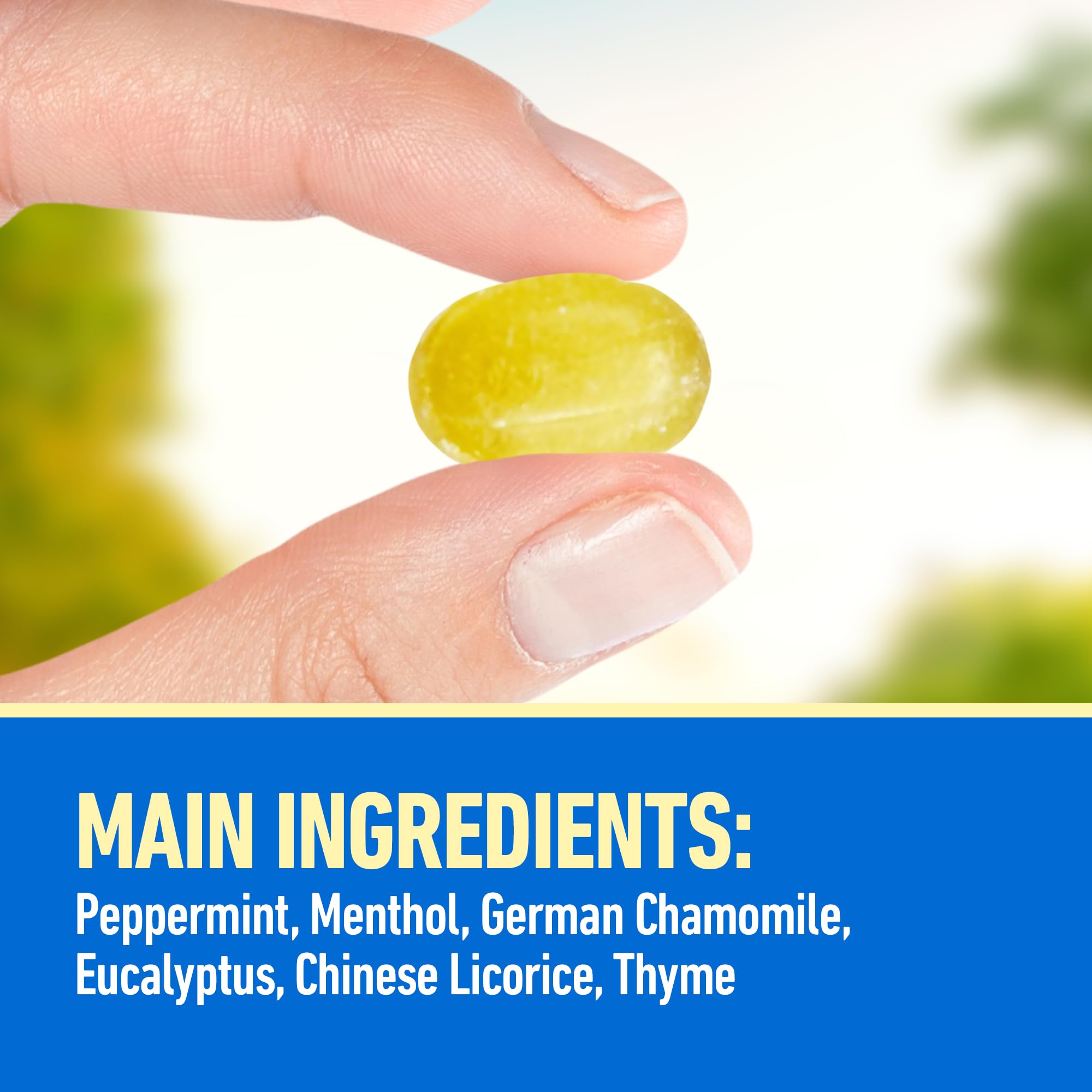 Amazon.com: Solstice Medicine Company Ryukakusan Herbal Drops