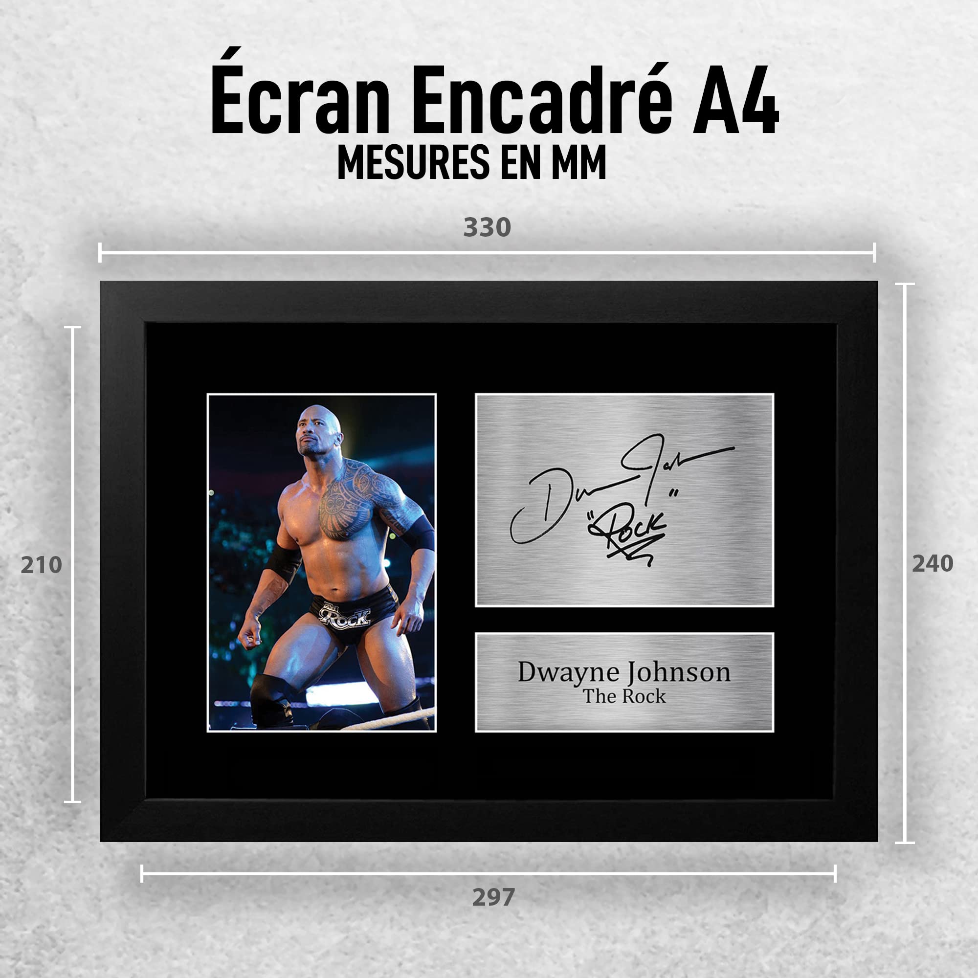 HWC Trading FR A3 UFC 100 Brock Lesnar Frank Mir Georges Cadeaux Photo