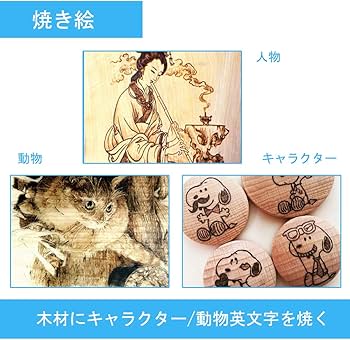 71HzrlD8ywL._AC_UF350,