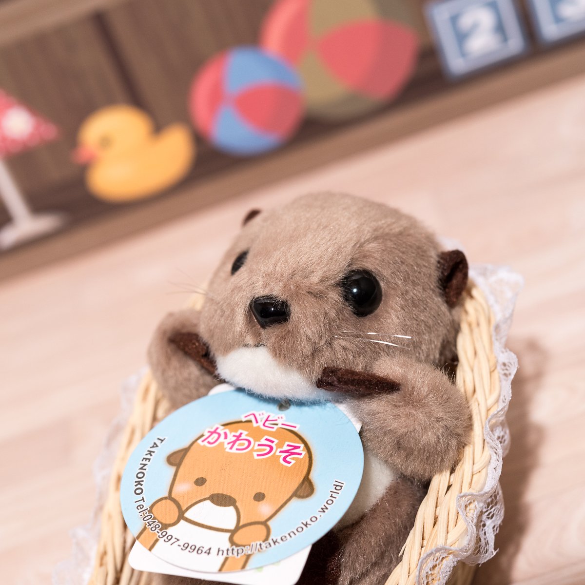 Amazon.co.jp: タケノコ(TAKENOKO) ベビーかわうそ ベージュ : おもちゃ