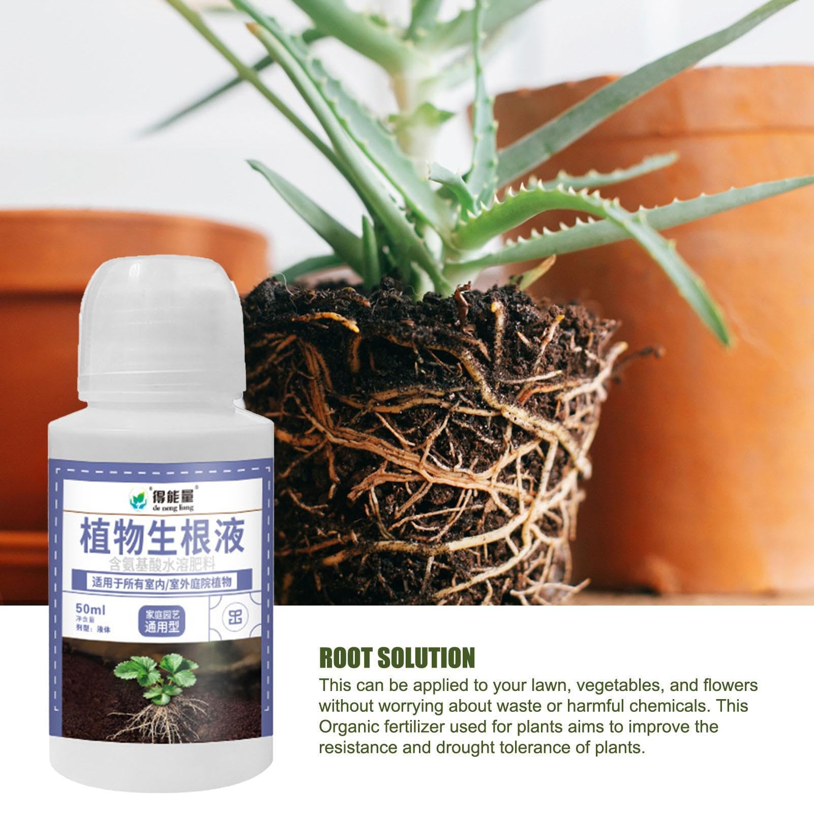 ulapithi Flssige Wurzelhormone,Sukkulentendnger - Hydroseeding-Set, 50 ml  flssiger Wurzelstimulator, Bonsai-Dnger, Aeroponik, Hydrokultur,  Stecklinge, Wachstum von Pflanzen im Innen : Amazon.de: Garten