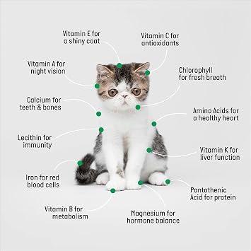 TCL Ceramic Planter Cat Grass Kit with Refill