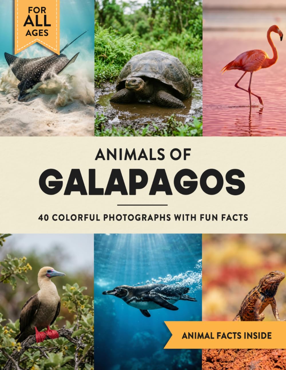 Animals of the Galapagos: A Wildlife Picture Book With Fun Facts Including Santa Cruz and Isabela For Kids & Adults