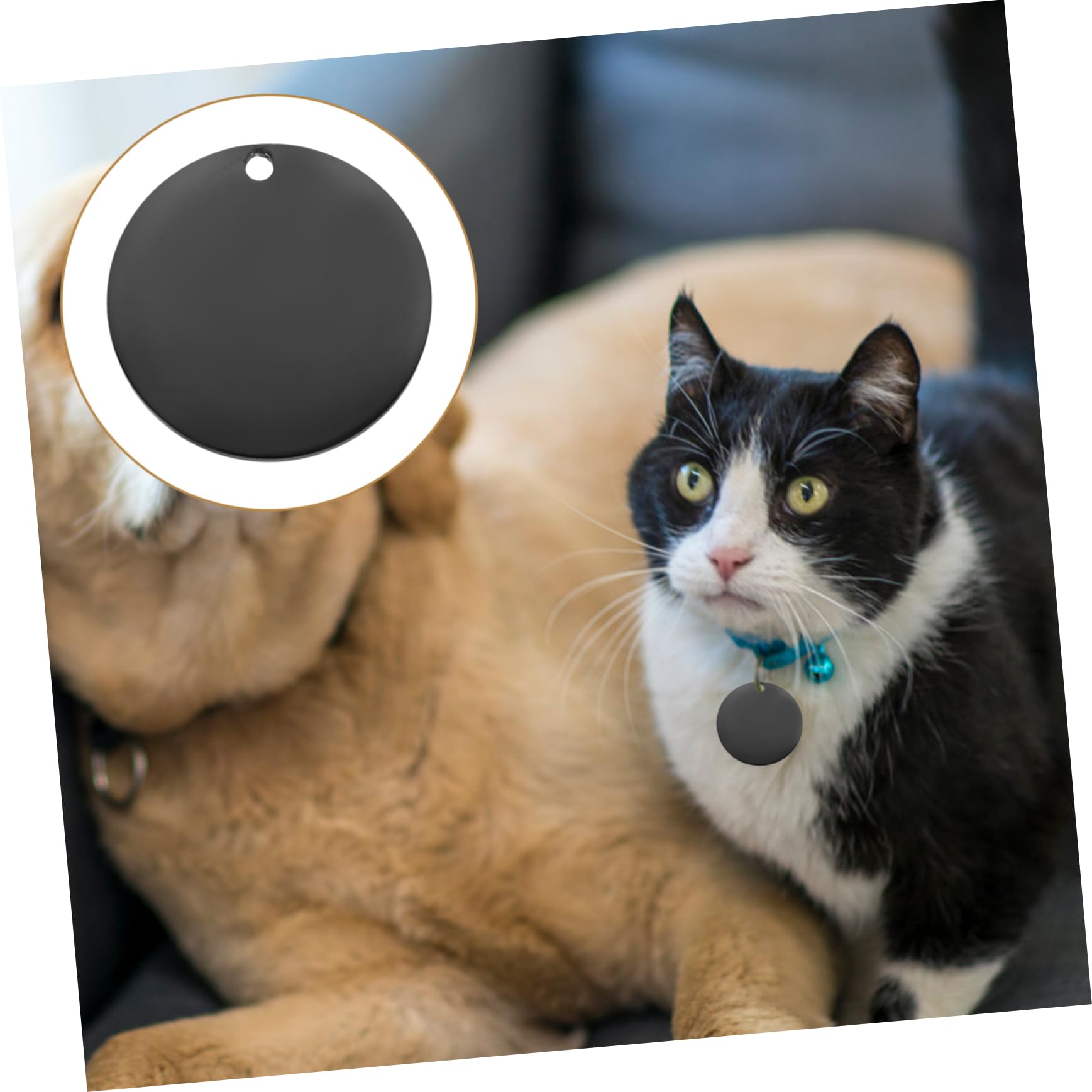 DOITOOL 4 Set Di Animali Domestici Piccola Etichetta Canino Identificazione Piastrina Per Cani in Acciaio Inossidabile Medagliette Per Cani in Acciaio Inossidabile Nero 6 Pezzi*4