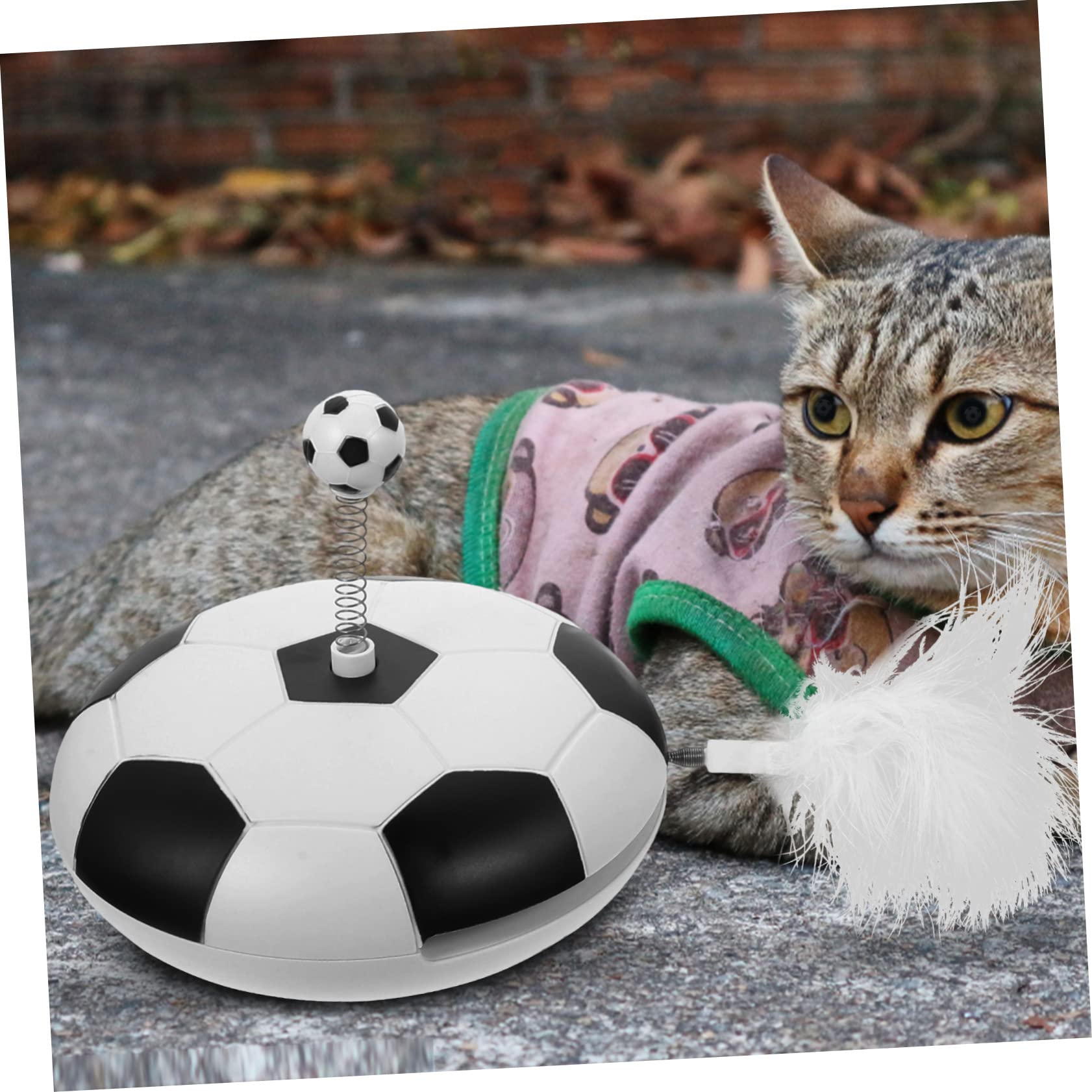 COLLBATH Jouet Automatique pour Chaton Jouet Interactif Anti-Stress Intérieur pour Chat Domestique