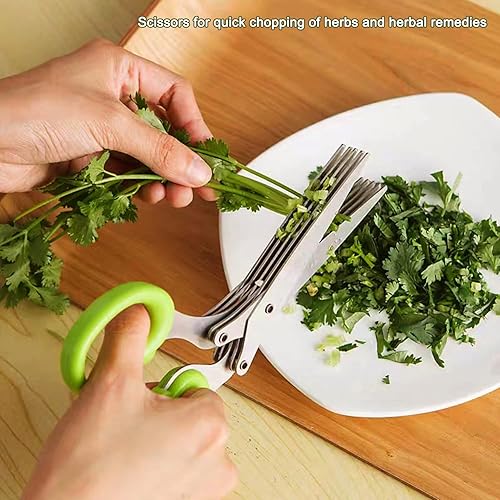 Miniatura 3 de Tijeras de hierbas  Tijeras multiusos de acero inoxidable de 5 cuchillas para hierbas de cocina, cortador de hierbas con cubierta de seguridad y