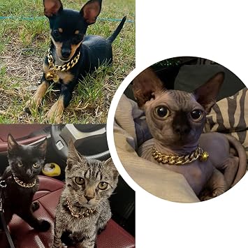 18K Gold Cat Dog Custom Collar Kitten Puppy Wide Stainless Steel Kitten Choker Curb Adjustable Chew Proof Cuban Link 1/2inch Chain with Gold Bonet tag Bell Personalized Qrcode Tag