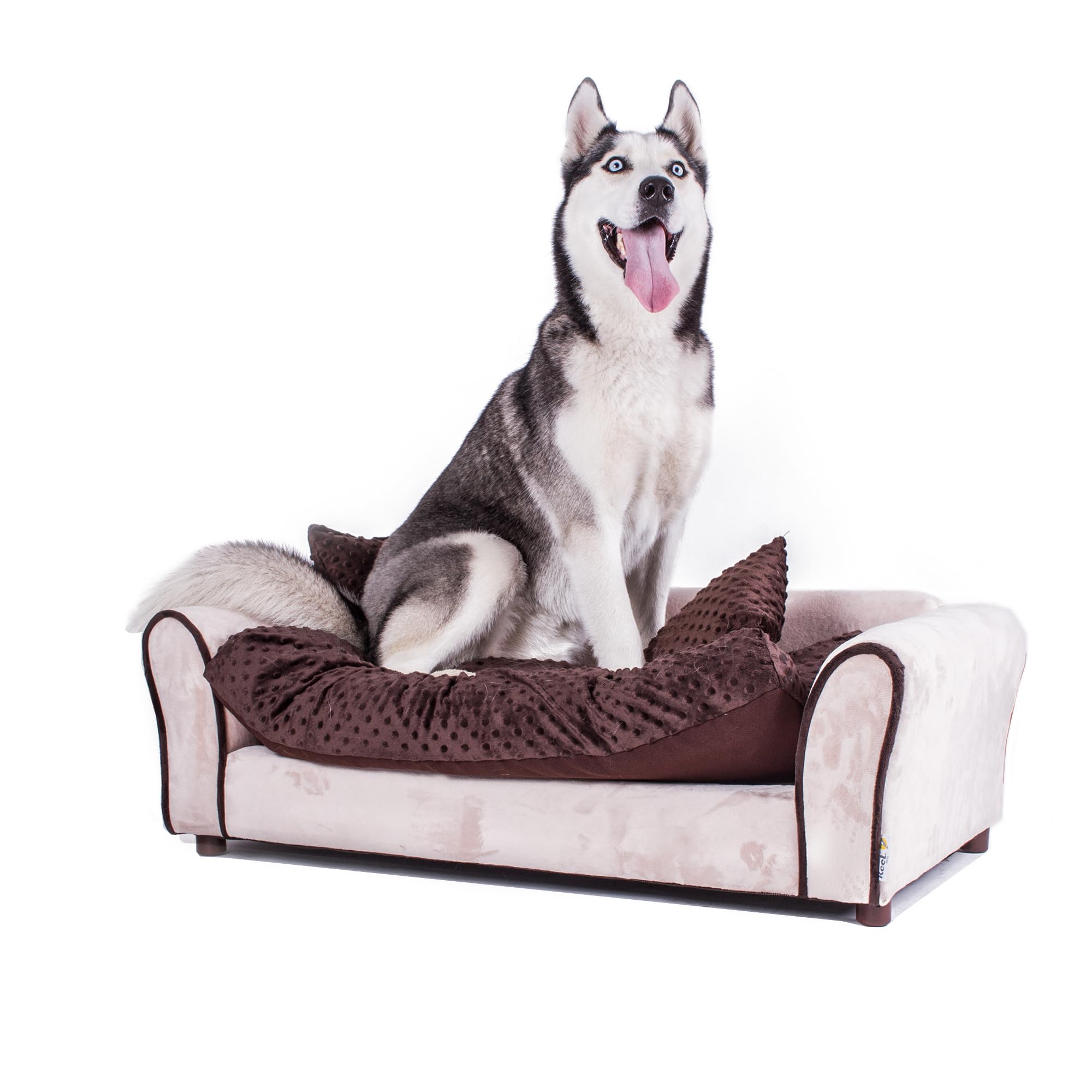 Keet Westerhill Pet Sofa Bed
