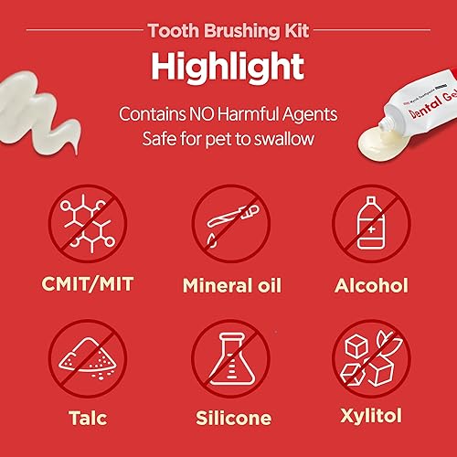 Miniatura 5 de JAYU PET Kit de cepillado dental  Gel dental 1EA + cepillo de cuidado dental 1EA  Juego de cepillos de dientes para perros y gatos, kit de cuidado