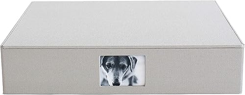 Kolo Havana Archival - Caja de almacenamiento de fotos, grande, color platino