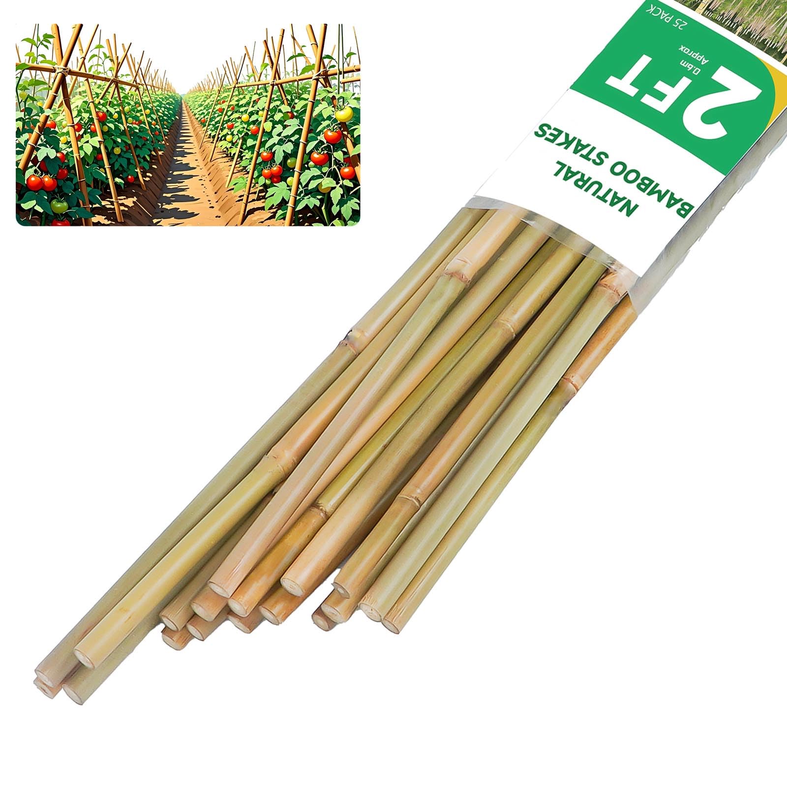2ft Natural Bamboo Plant Stakes for Tomatoes, Beans, Flowers, Potted, Climbing Plants 25pcs
