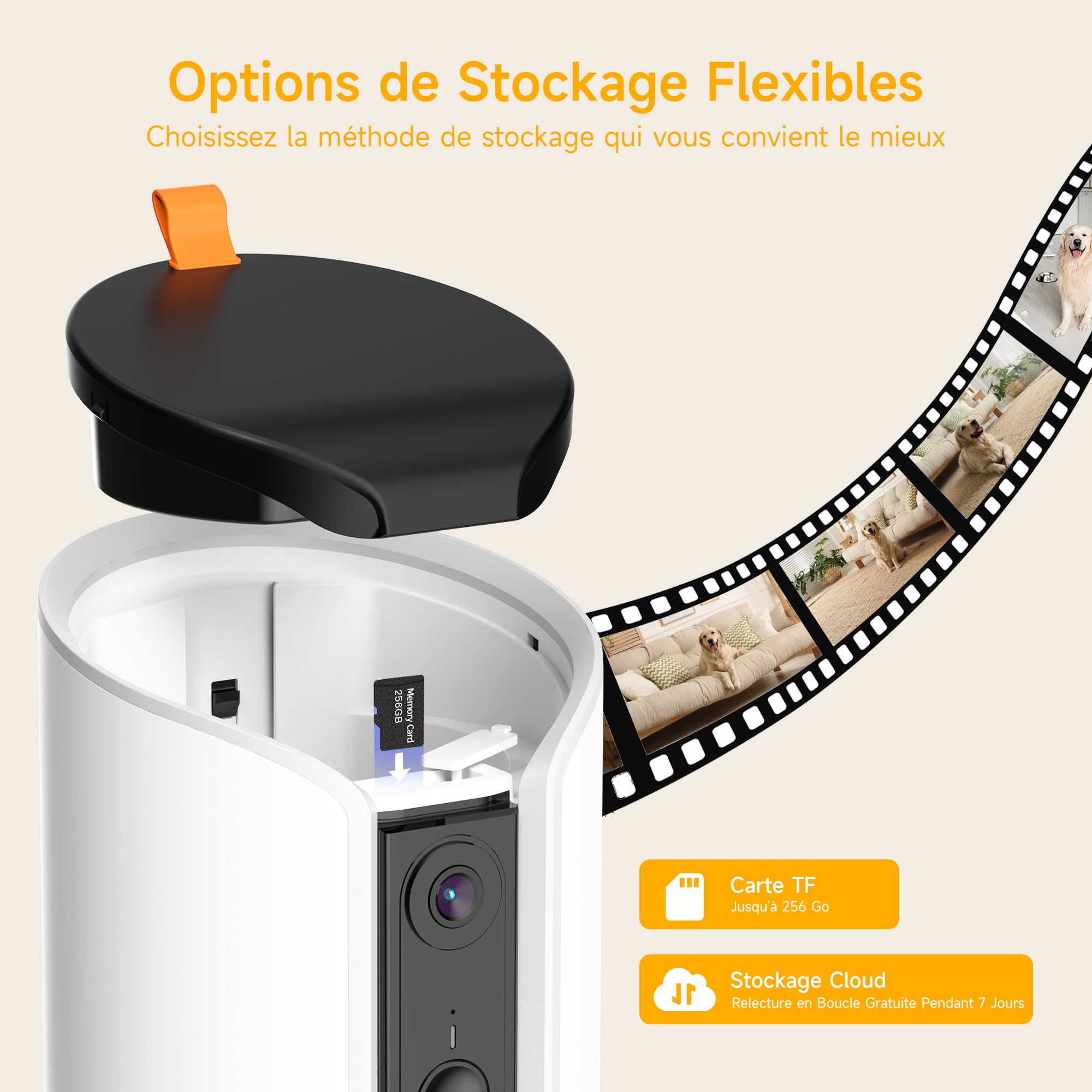 ARENTI Distributeur Automatique de Croquettes pour Chat avec Caméra WiFi, Caméra de Surveillance avec Distributeur, Alertes Intelligentes/Vision Nocturne, Audio Bidirectionnel, Alexa