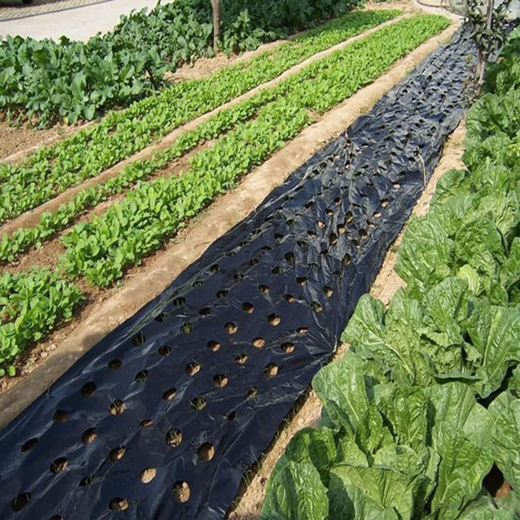 Perforowana folia mulczowa do ogrodu i szklarni, konstrukcja z 5 otworami, 95 cm x 10 m do termicznej kontroli chwastów, trwała osłona krajobrazu
