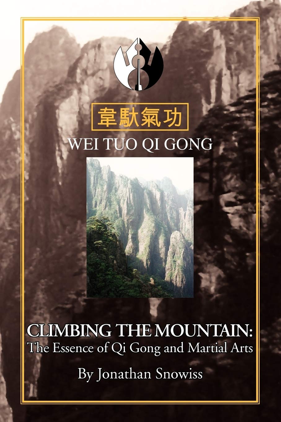 Climbing the Mountain: The Essenceof Qi Gong & Martial Arts