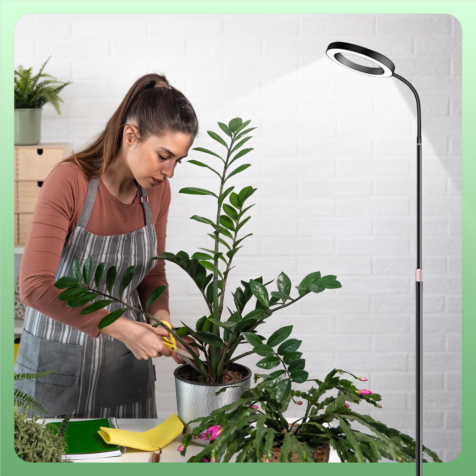 Lampe Horticole LED, Lampe Plante Interieur avec Minuterie 6/12/16H, 3 Modes & 10 Niveaux Luminosité, Hauteur Réglable 57-165cm, Grow Light pour Plantes d'Intérieur, Livré avec Timer et Adaptateur