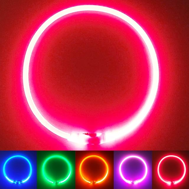 PetSol LED Dog Collar  USB Rechargeable Flashing Light Up Dog Collar. Fits Any Size Cat, Dog or Puppy - Small, Medium & Large. Ultra Bright Glow Safety Collar For Pets (Red)