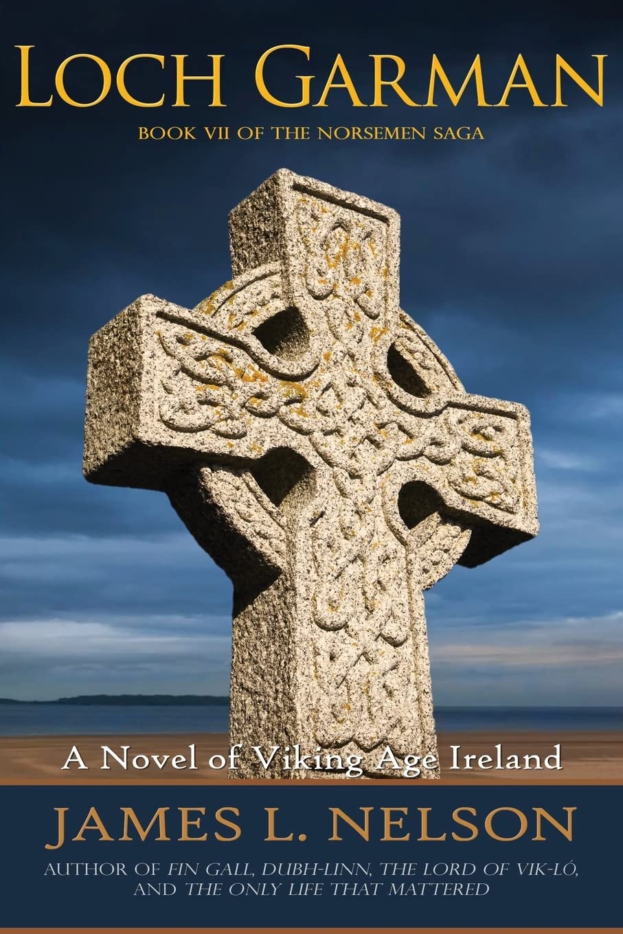 Loch Garman: A Novel of Viking Age Ireland: Volume 7 (The Norsemen Saga)