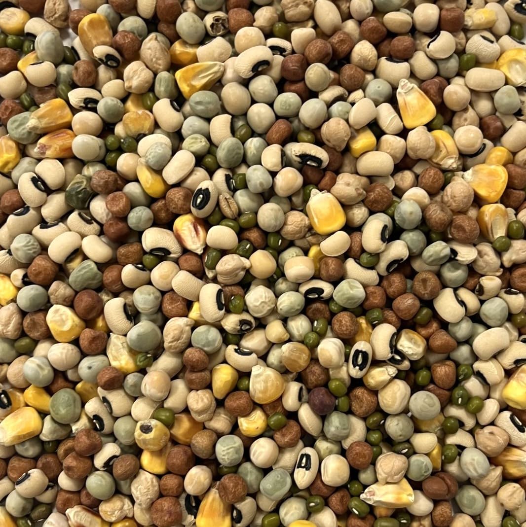 500g Mixed Pulses for Parrots SJJ, 500 g (Pack of 1) - Image 2