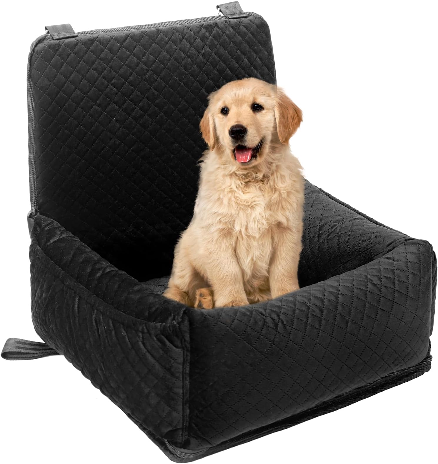 Dog Car Seat, Dog Booster Seat for Under 30lbs, Pet Travel
