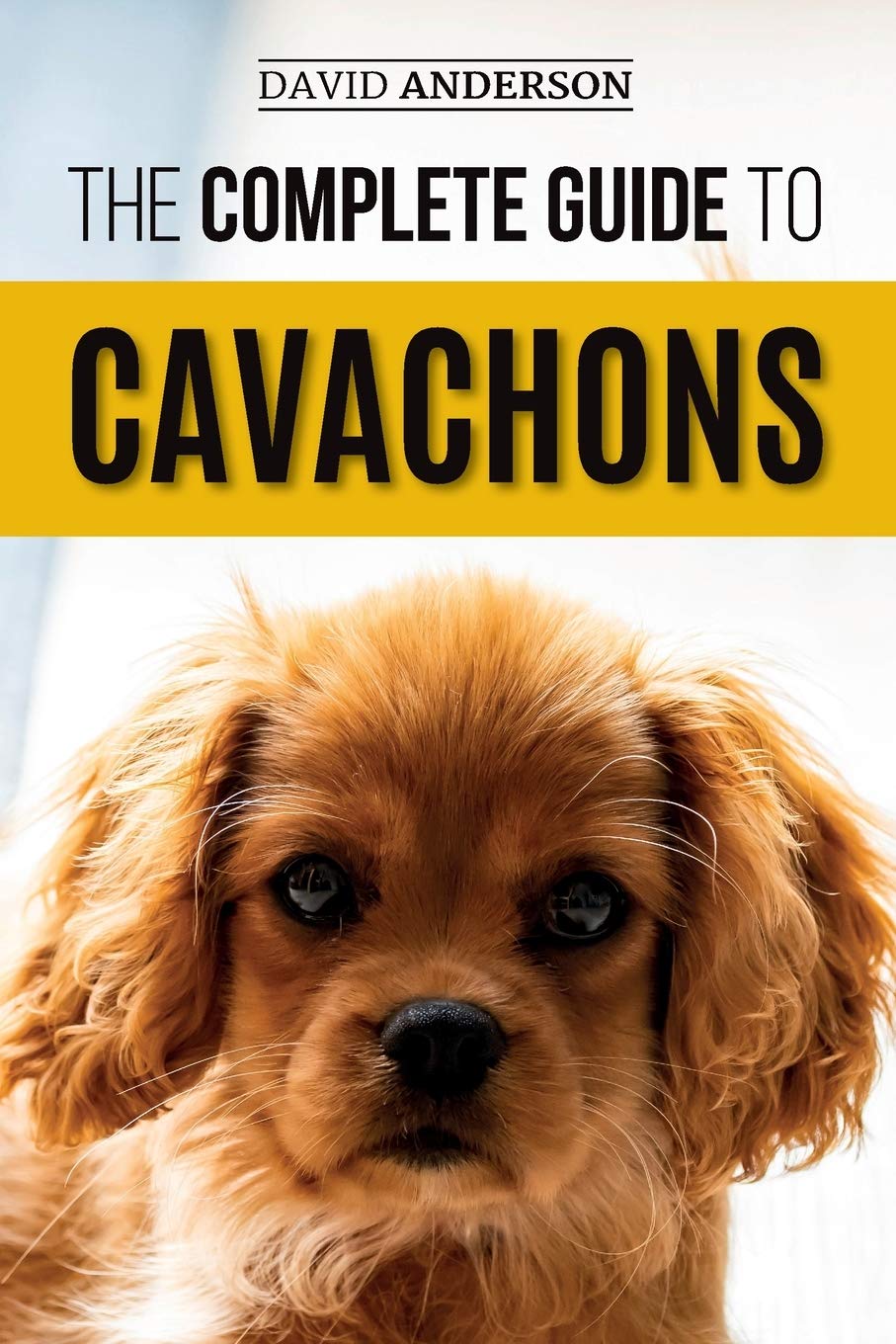 The Complete Guide to Cavachons: Choosing, Training, Teaching, Feeding, and Loving