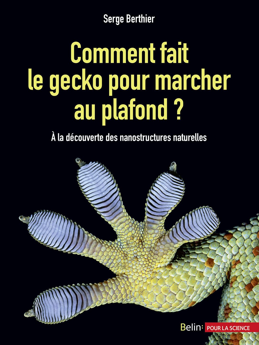 Comment fait le gecko pour marcher au plafond ?: À la découverte des nanostructures naturelles
