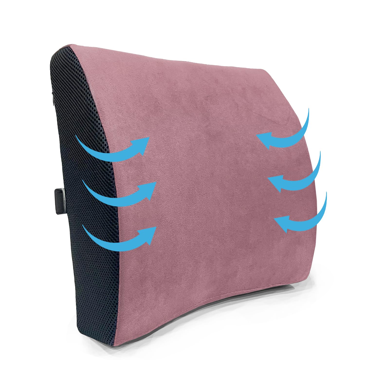 Sassoon Memory Foam Orthopedic Back Support Cushion (Pack of 1) (Mauve)