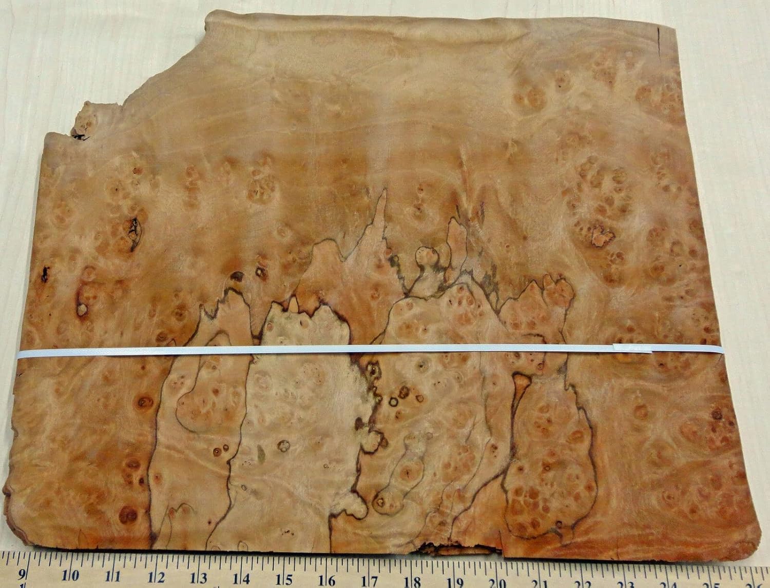 Pimento Burl prefinished Wood Veneer 14" x 17" on MDF Panel 5/8'' Thick Board