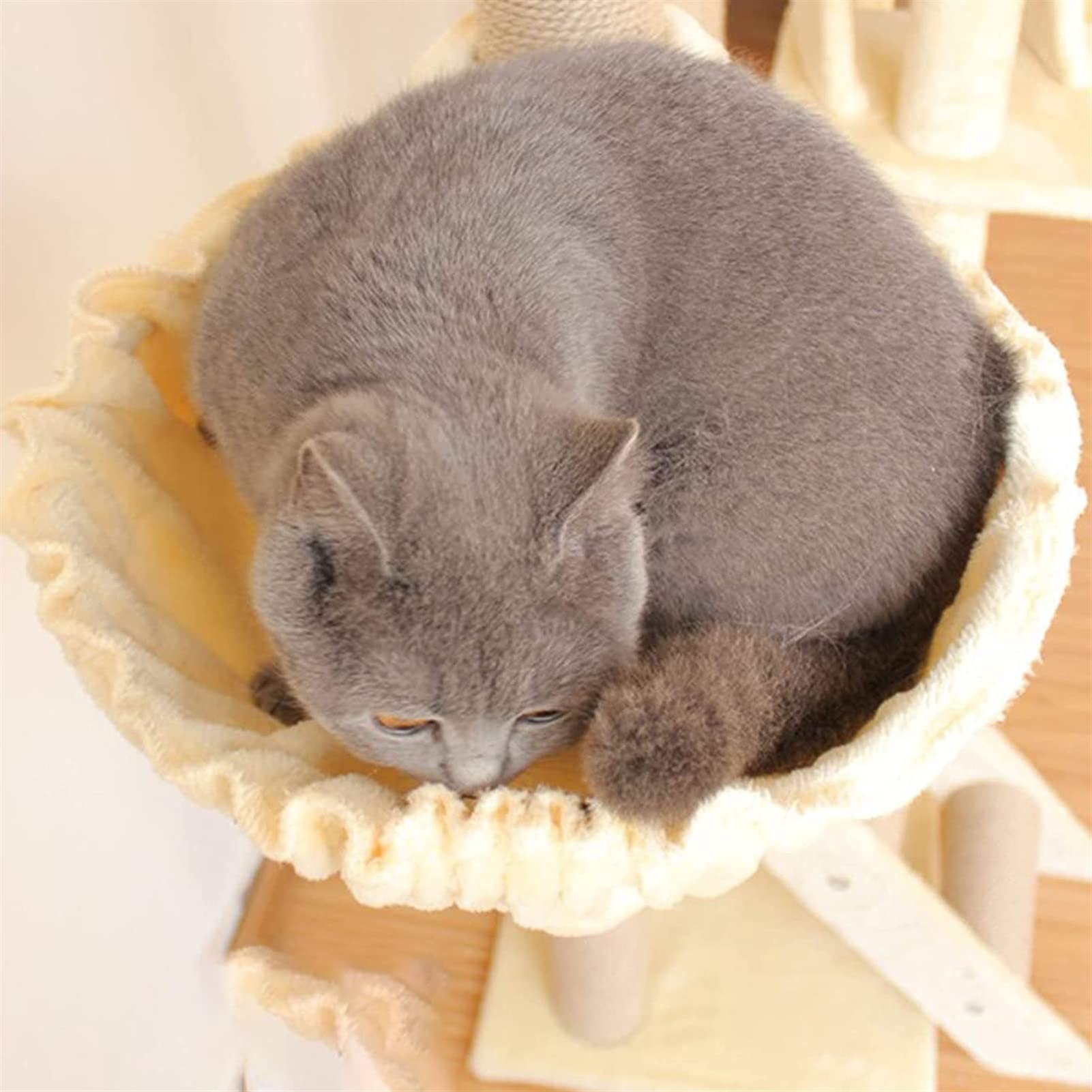 94,5 cala Drzewo dla kota Wieża dla kotów domowych Wielopoziomowe meble dla kotów z Condo Kitten Kitty Stand Dom do zabawy z hamakiem Centrum aktywności kota do zabawy Odpoczynek