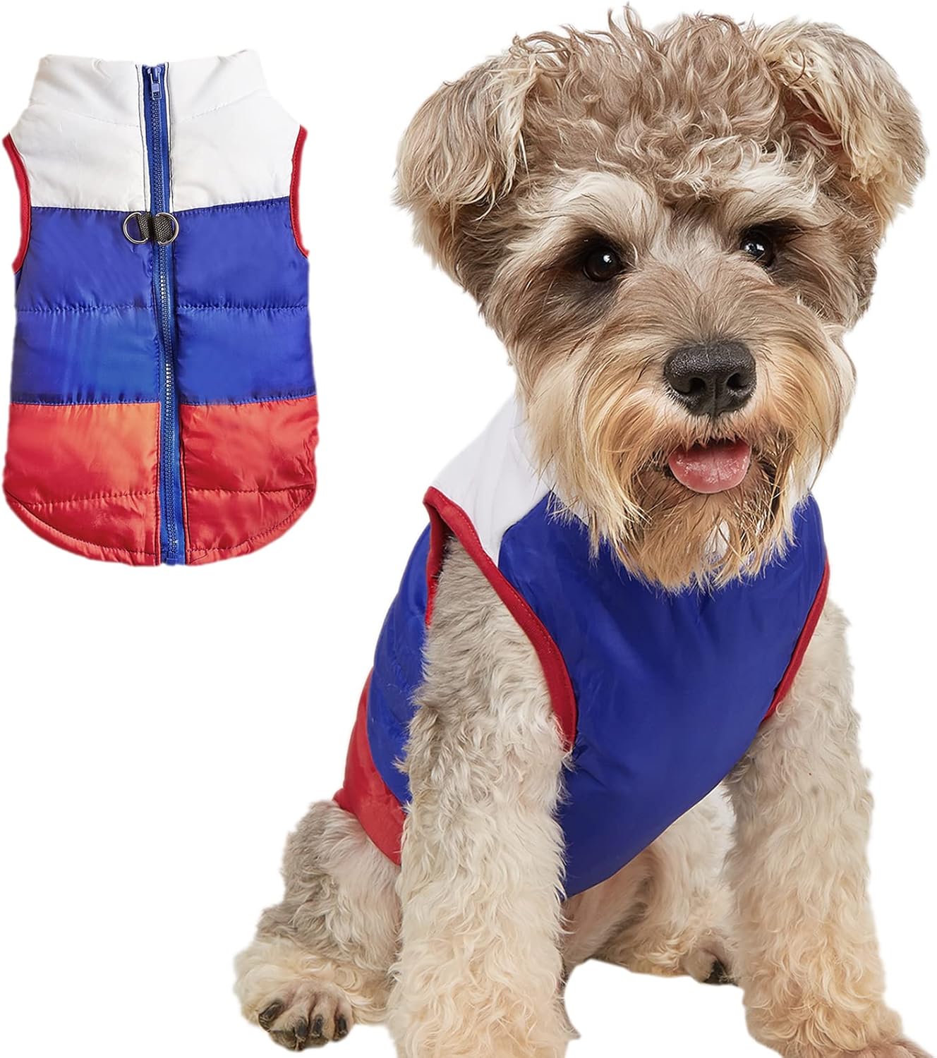 Jecikelon Small Dog Winter Coat Windproof Warm Puppy