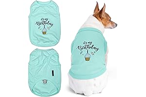 Paw-some Parisian Pet Dog Birthday Shirt