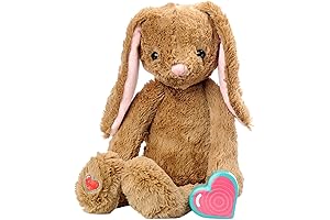 Recordable Stuffed Bunny with Sweet Heart Voice Recorder