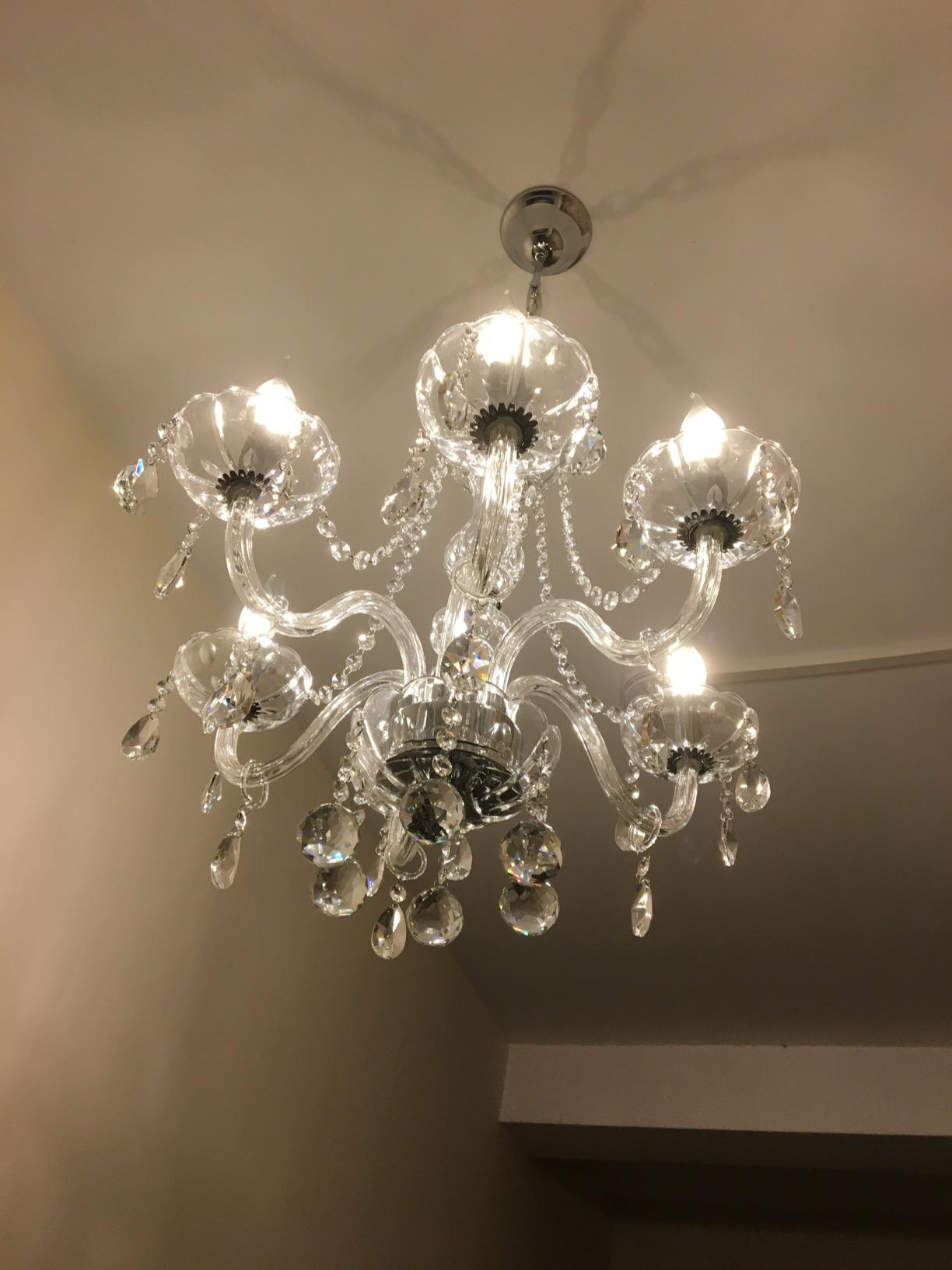Customer photo
