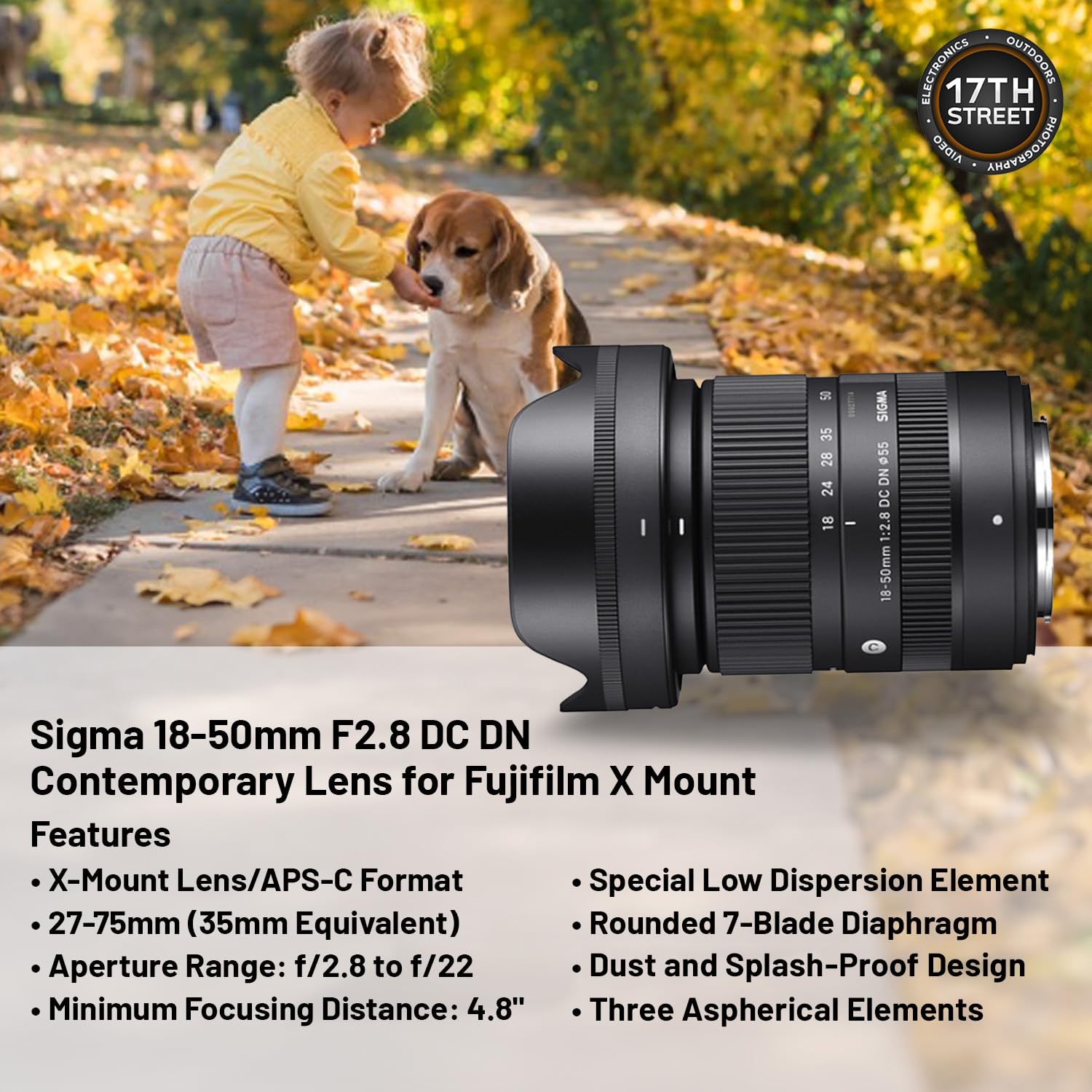 Amazon.com : Sigma 18-50mm F2.8 DC DN Contemporary Lens for 